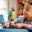 【LEGO 樂高】創意百變系列3合1 31136 異國鸚鵡(百變動物玩具 益智積木)