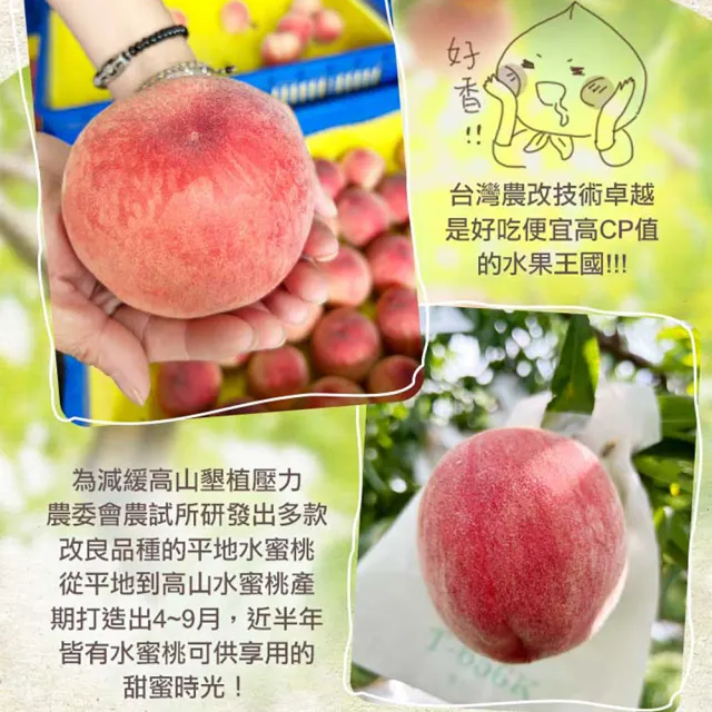 【享吃鮮果】台灣鮮採水蜜桃10入x2箱(1kg±10%/箱)