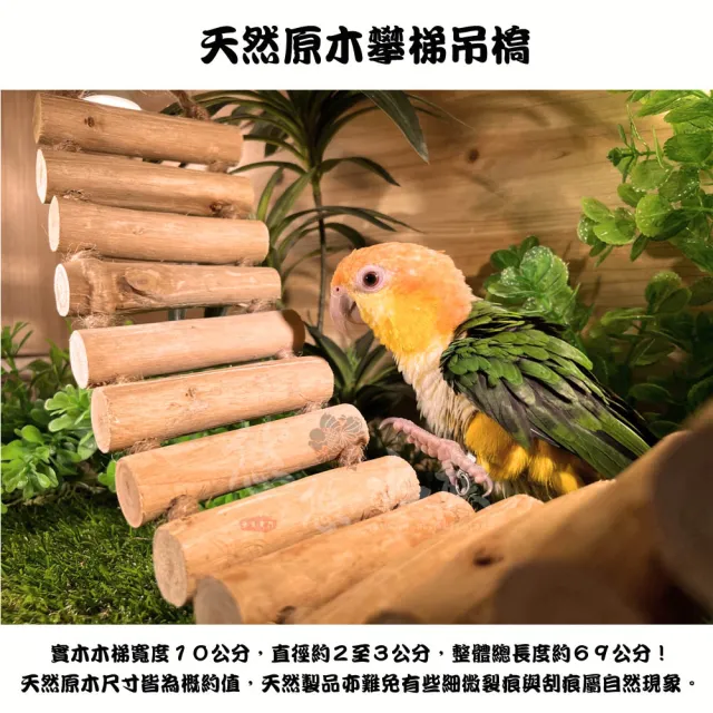 【YOYO 悠悠水族】天然原木攀梯吊橋(鳥玩具、鳥用品、鸚鵡玩具、鸚鵡用品)