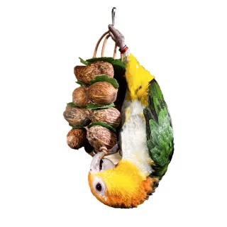 【YOYO 悠悠水族】天然核果啃咬串(鳥用品、鳥玩具、鸚鵡用品、鸚鵡玩具)