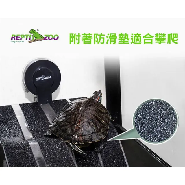 【REPTIZOO 瑞普】烏龜曬台_S號(兩棲爬蟲、爬蟲用品、陸龜用品)