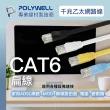 【POLYWELL】CAT6 高速網路傳輸扁線 /3M