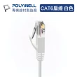 【POLYWELL】CAT6 高速網路傳輸扁線 /20M