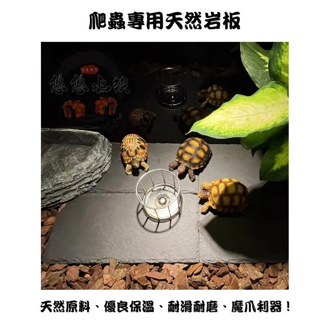 【YOYO 悠悠水族】爬蟲專用天然岩板_小號_四入組(兩棲爬蟲、爬蟲用品、陸龜用品、鸚鵡用品、寵物躲藏)