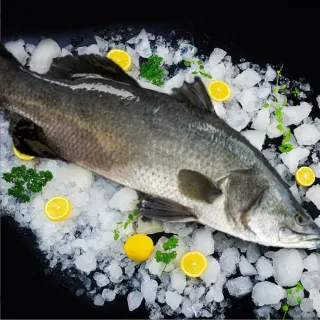 【一手鮮貨】台灣生態養殖金目鱸魚(3尾組/單尾殺清前600g)