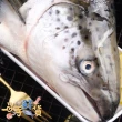 【一手鮮貨】挪威鮭魚頭(2顆組/單顆殺前1kg±10%/剖半真空包裝)