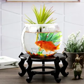 【JEN】透明玻璃圓形魚缸高18cm口徑13.5cm肚徑23cm