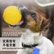 狗狗帶繩漂浮彈力球(耐咬 拔河 水上浮力 訓練互動球 磨牙 益智 游泳 戲水 寵物玩具用品)