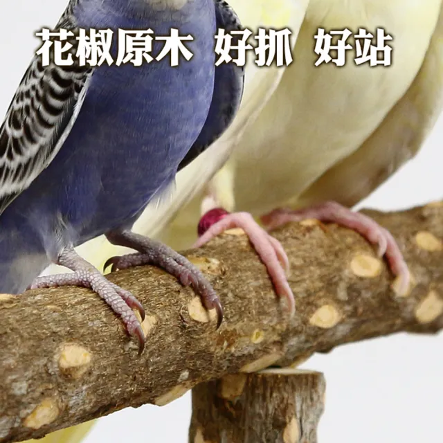 【典贊創意】花椒木鸚鵡站台(鳥站台鳥站桿 鳥站架 鸚鵡站台 鸚鵡站桿 鸚鵡用品 鳥用品 鳥籠配件)