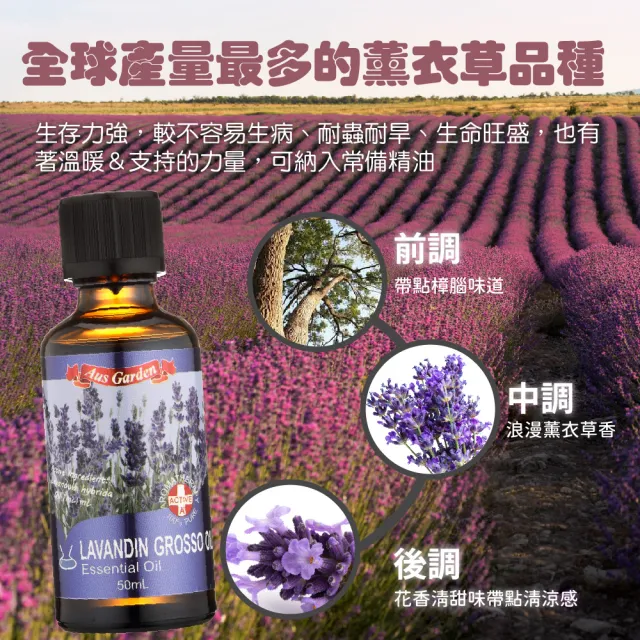 【Ausgarden 澳維花園】醒目薰衣草精油50ml(消費者愛用的品種 居家常備精油之一)