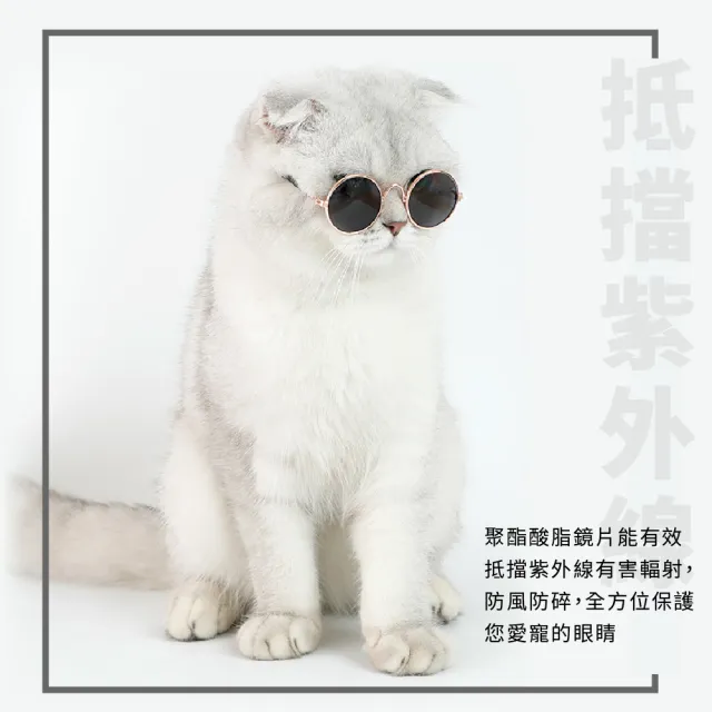 貓狗藝術眼鏡(寵物太陽眼鏡 貓咪狗狗拍照眼鏡 寵物攝影用品 寵物變裝 寵物玩具)