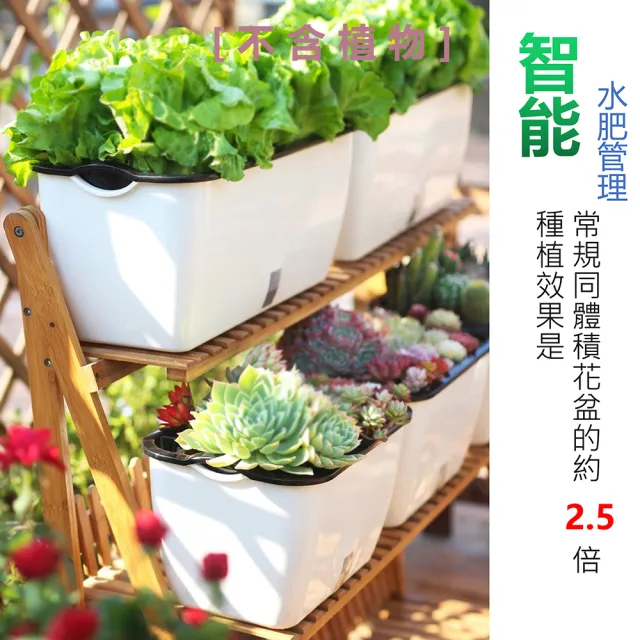 【品屋】蔬菜種植箱(長方形懶人種菜盆 長型花盆 種菜盆 花盆 自吸水花盆)