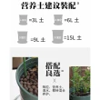 【品屋】5加侖花盆(花盆 青山盆 控根盆 加侖盆 透氣盆 種植盆 105)