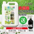 【小美紀】4公升除草王單1入裝-169H(除草藥劑 除草 雜草劑 治草劑 除草劑)