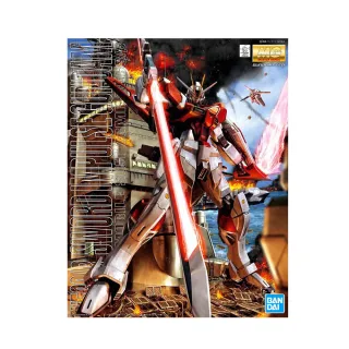 【BANDAI 萬代】組裝模型 MG 1/100 機動戰士鋼彈SEED-DS 巨劍脈衝鋼彈