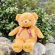 【歐比邁】大熊熊玩偶 台灣填充棉花(39吋孔雀絨熊 1039012)