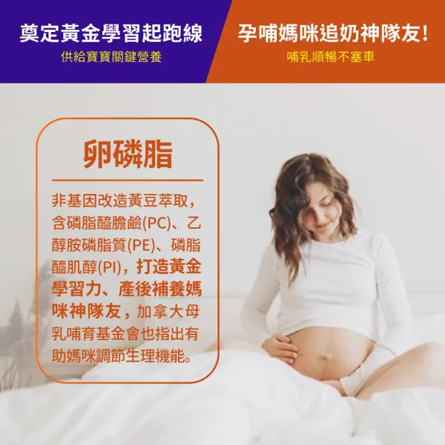 【NOW Foods】卵磷脂膠囊1瓶(100顆)