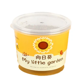 【百獅】種植小盆栽 兒童植物 兒童盆栽(DIY負離子綠植 小盆栽 桌面迷你兒童種植 室內植物 辦公室盆栽)