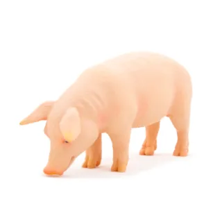 【Mojo Fun】動物模型-公豬