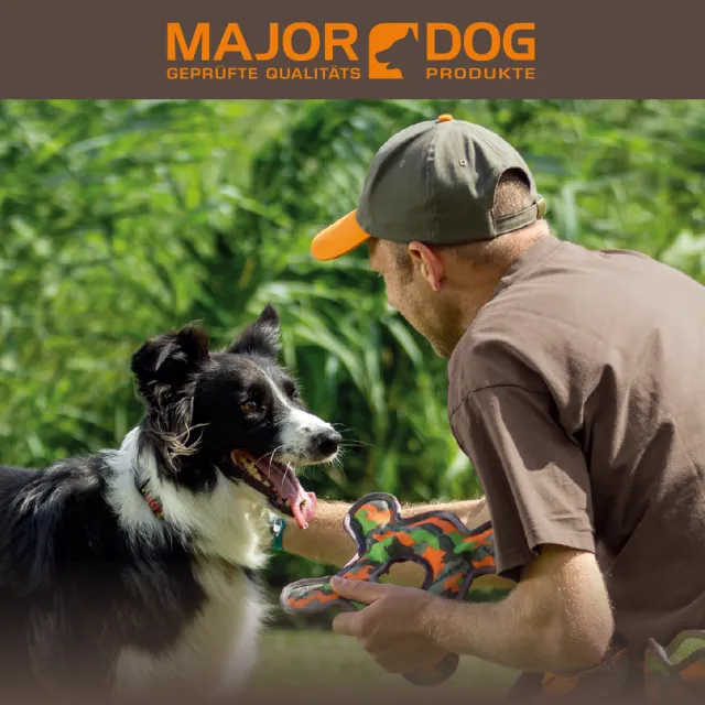 【Major Dog】角力炫彩浮標《小》狗玩具 互動玩具 浮水玩具(抗憂鬱玩具 寵物玩具 無毒玩具 耐咬玩具)