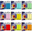 【彩之舞】進口3合1彩色標籤-多色可選 10格圓角 100張/包 U4268-100彩標(貼紙、標籤紙、A4)