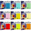 【彩之舞】進口3合1彩色標籤-多色可選 10格直角 100張/包 U59105-100彩標(貼紙、標籤紙、A4)