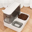【Tinypet】自動餵食器飲水機一體 寵物餵食器(大容量防漏水一體雙碗)