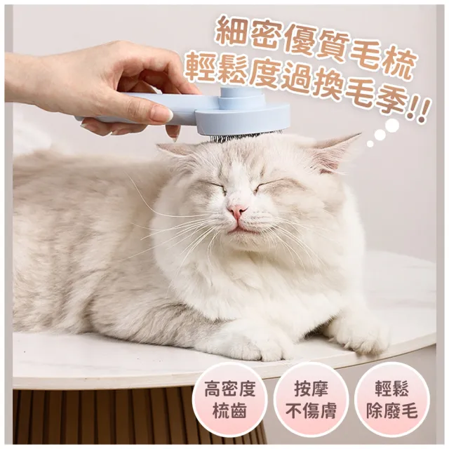 【OKAWA】寵物按摩除毛刷 MINI款 三色可選(毛小孩 除毛 理毛 按摩)