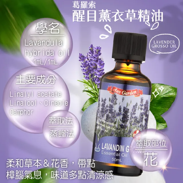 【Ausgarden 澳維花園】醒目薰衣草精油50mlX3(居家常備精油)