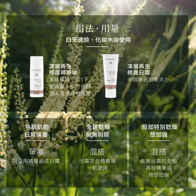 【Dr. Hauschka 德國世家】深層再生修護日霜40ml(Dr.hauschka/德國/有機/保養/草本/甘露)