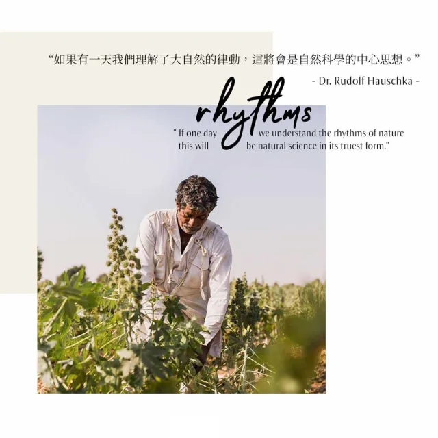 【Dr. Hauschka 德國世家】超保濕護手霜50ml(Dr.hauschka/德國/有機/保養/草本/甘露)