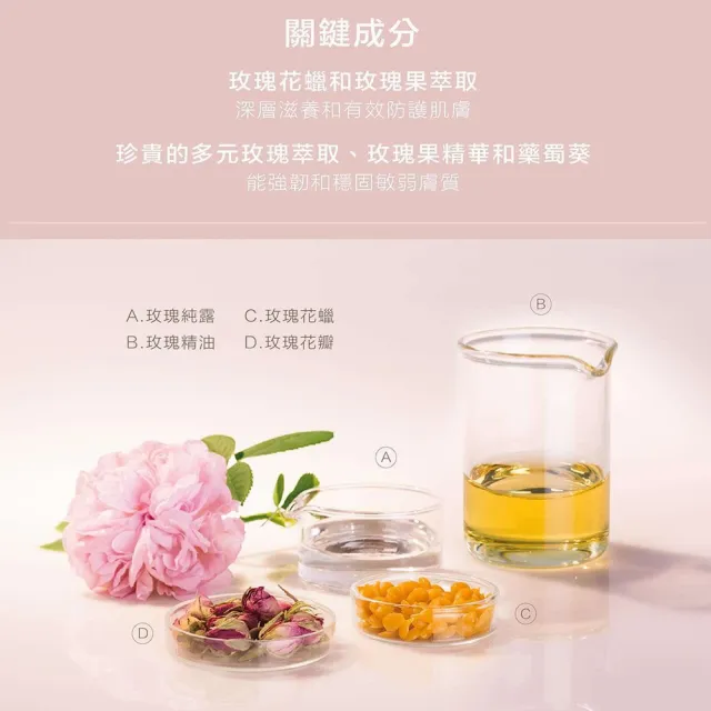 【Dr. Hauschka 德國世家】玫瑰日霜[滋潤型]30ml(Dr.hauschka/德國/有機/保養/草本/甘露)