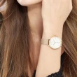【FOSSIL】Jacqueline 優雅時尚腕錶(ES4352)