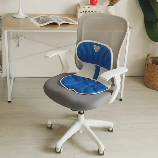 【完美主義】韓國製BONED美體護脊坐墊-大(美姿調整椅/護脊/美體)