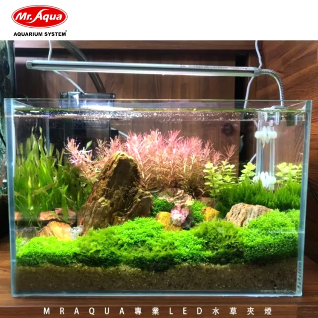 【MR.AQUA】水族先生 MR 專業LED水草夾燈27cm/3036銀色/水草缸夾燈 側夾燈(適用魚缸30〜36cm MR505)