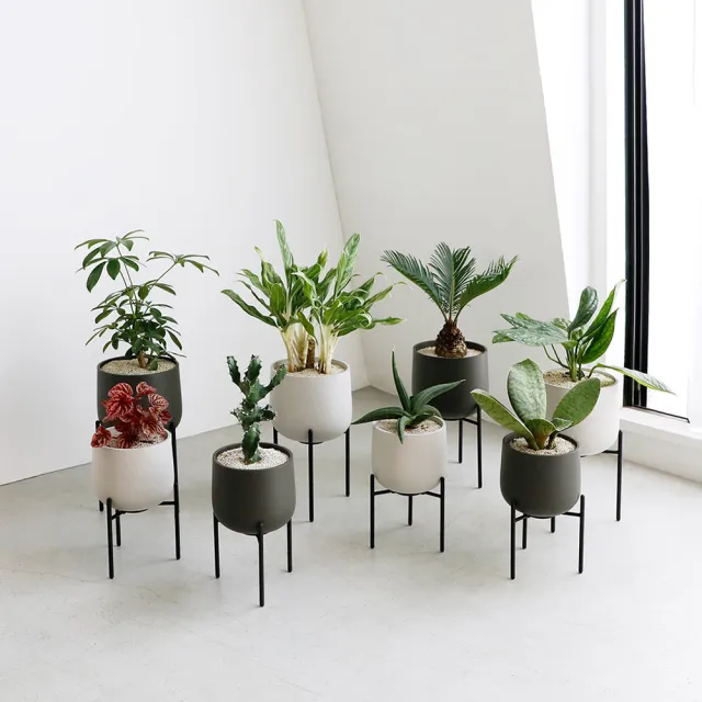 【Kinto】PLANT POT 211 附架陶瓷花盆13.5cm-大地灰