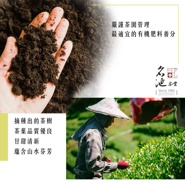 【名池茶業】蜜朵紅玉錫蘭冷泡茶包3gx30入