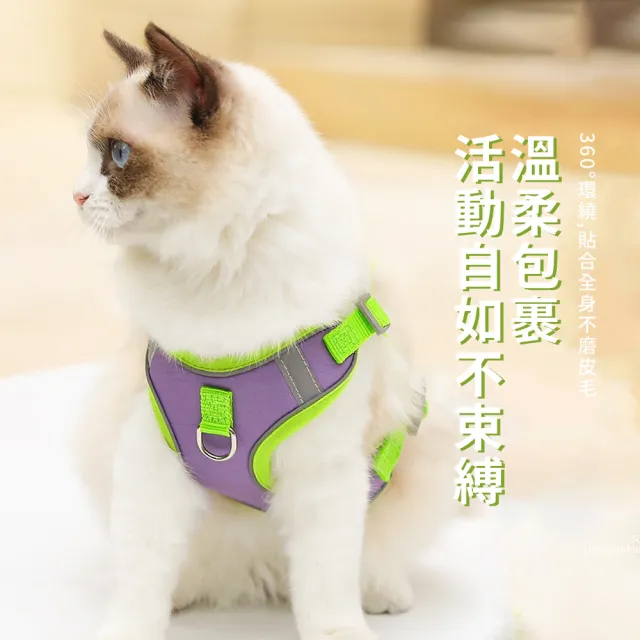 【OMG】小型犬泰迪胸背牽引繩 遛狗繩 犬貓通用寵物繩(胸背+1.5M扁繩)