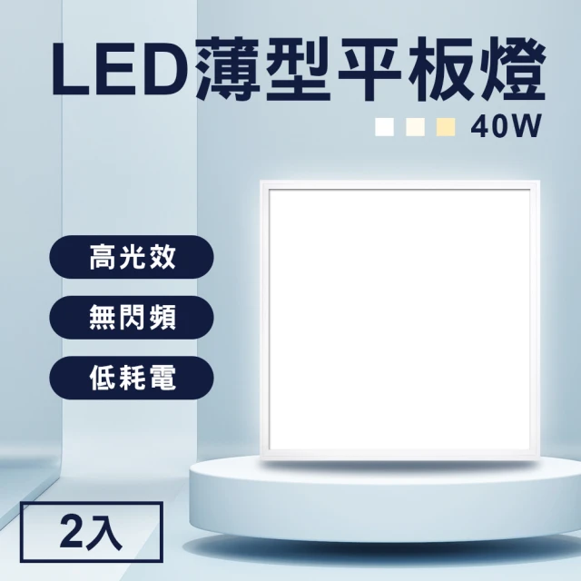 【TheLife 樂生活】嚴選 省電LED薄型40W導光板60x60cm 2入(面板燈/輕鋼架燈/天花板燈/平板燈/CNS認證)