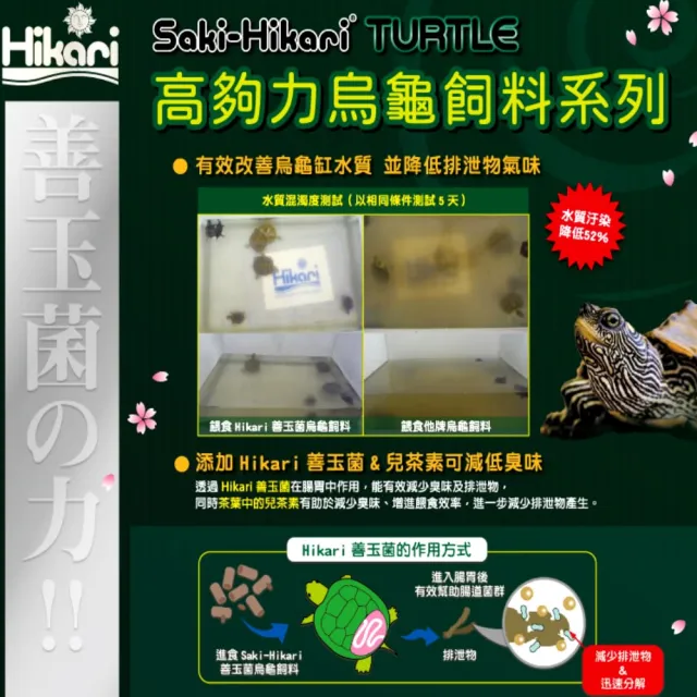 【HIKARI 高夠力】善玉菌烏龜飼料 L顆粒200g Saki適口性佳烏龜飼料(適用各種澤龜 兩棲 20567)