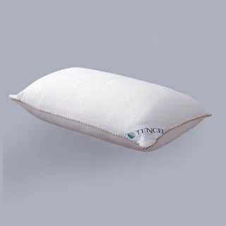【Embrace英柏絲】3D天絲冬夏兩用枕  枕頭(採用日本原料 台灣製)