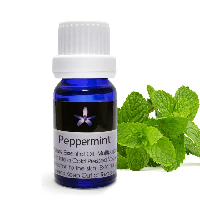 【Body Temple身體殿堂】綠薄荷芳療精油10ml(Spearmint)