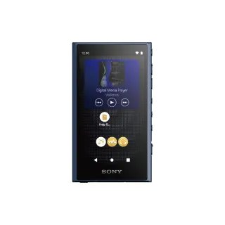 【SONY 索尼】高解析音質 Walkman 數位隨身聽 NW-A306 32G 可攜式音樂播放器(NW-A306)