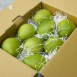 【農頭家】台南麻豆40年老欉文旦8顆5斤裝x2盒(外銷精品、頂級老欉小果、平面禮盒尊爵送禮)