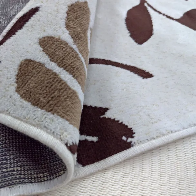 【范登伯格】比利時 圓舞曲柔豔花賞絲質地毯(50x70cm)
