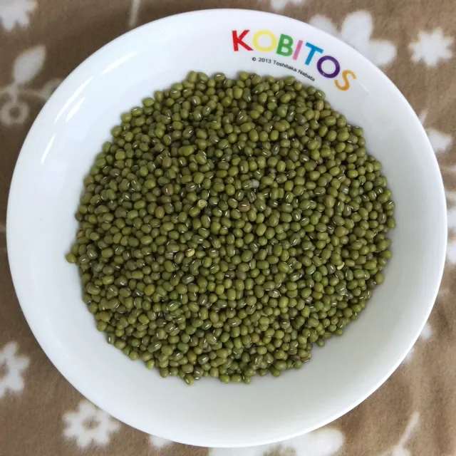 【耆盛】綠豆子500g