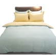 【LUST】素色簡約 極簡風格/多款配色100%純棉雙人加大6尺精梳棉床包/歐式枕套《不含被套》(台灣製造)