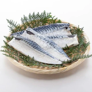 【買一送一 好神】挪威薄鹽鯖魚一夜干10片組(150g/片 共20片)