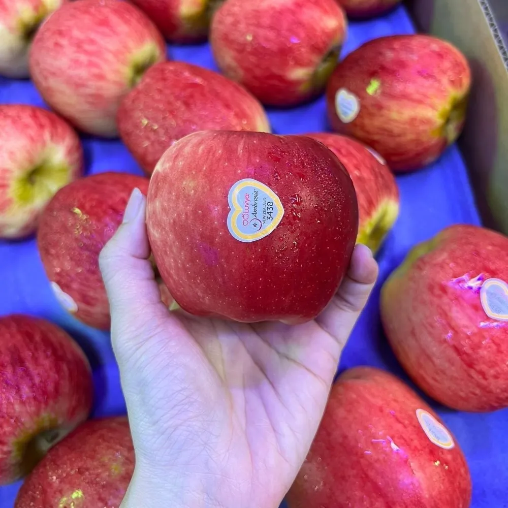 【WANG 蔬果】紐西蘭水蜜桃蘋果10顆x1盒(200g/顆_禮盒)