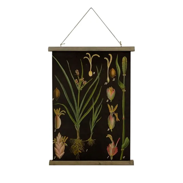 JEN】美式復古卷軸植物圖鑑裝飾掛畫40*60cm(4款可選) - momo購物